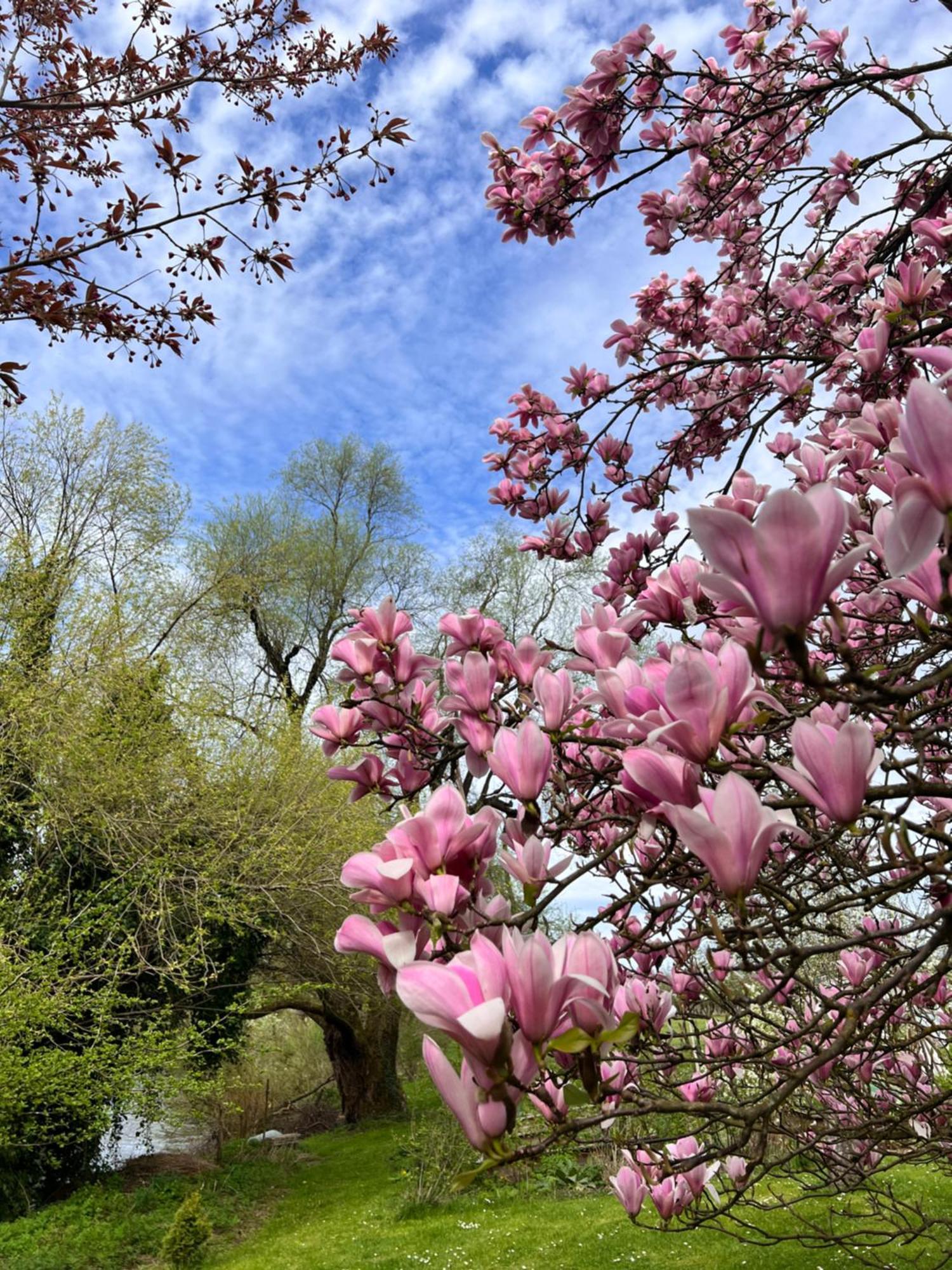 Am Flussgarten Eriskirch Ngoại thất bức ảnh