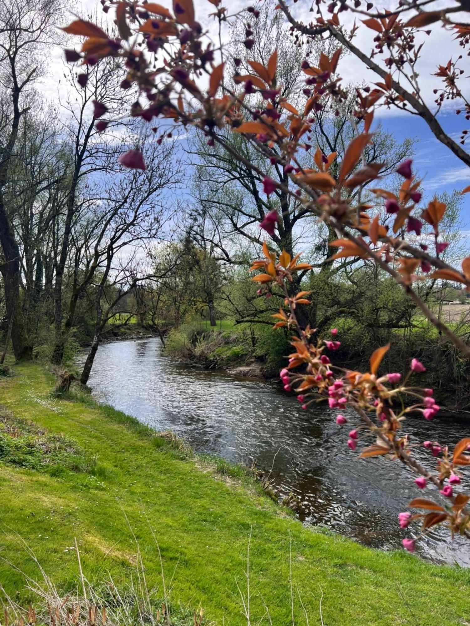 Am Flussgarten Eriskirch Ngoại thất bức ảnh