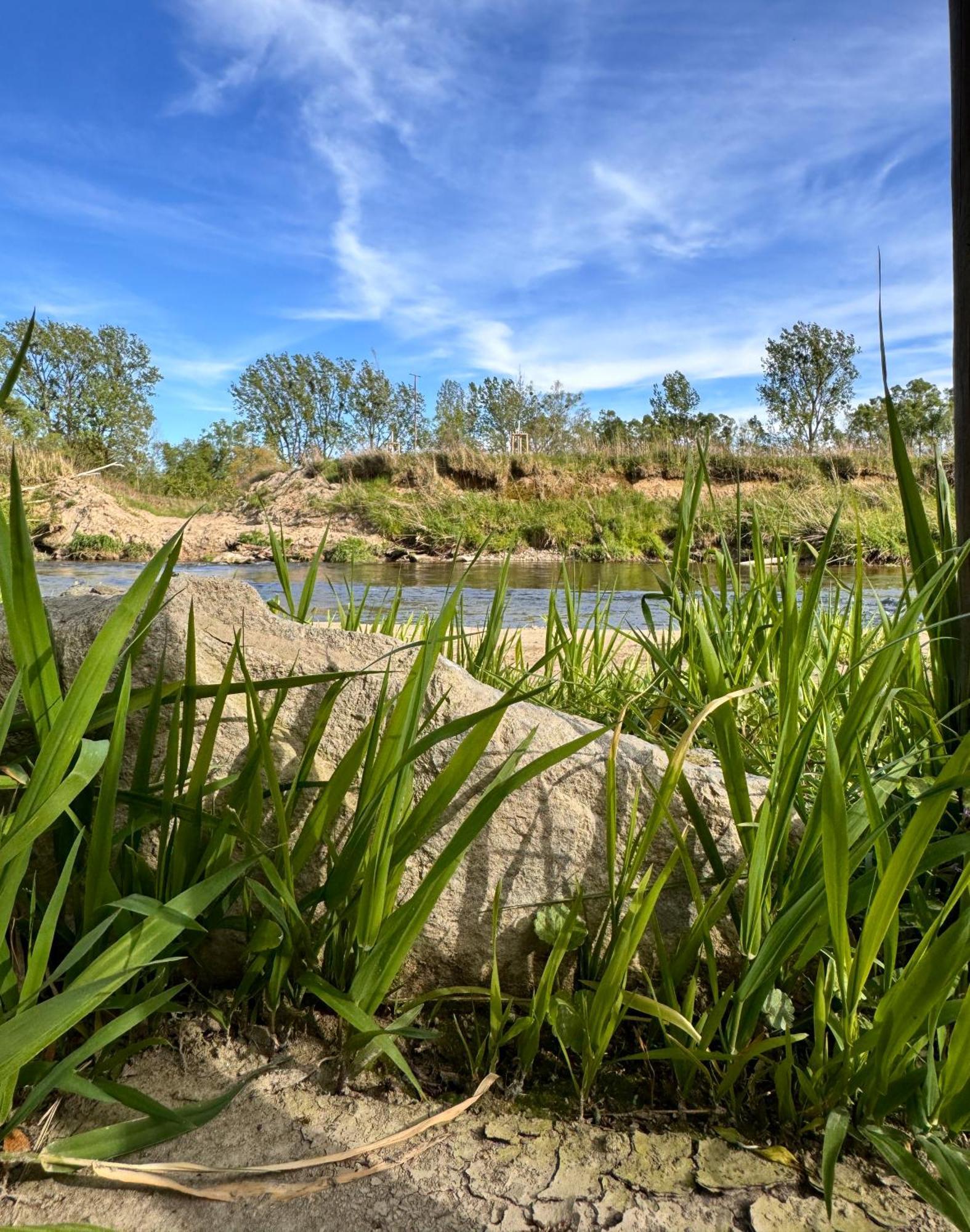 Am Flussgarten Eriskirch Ngoại thất bức ảnh