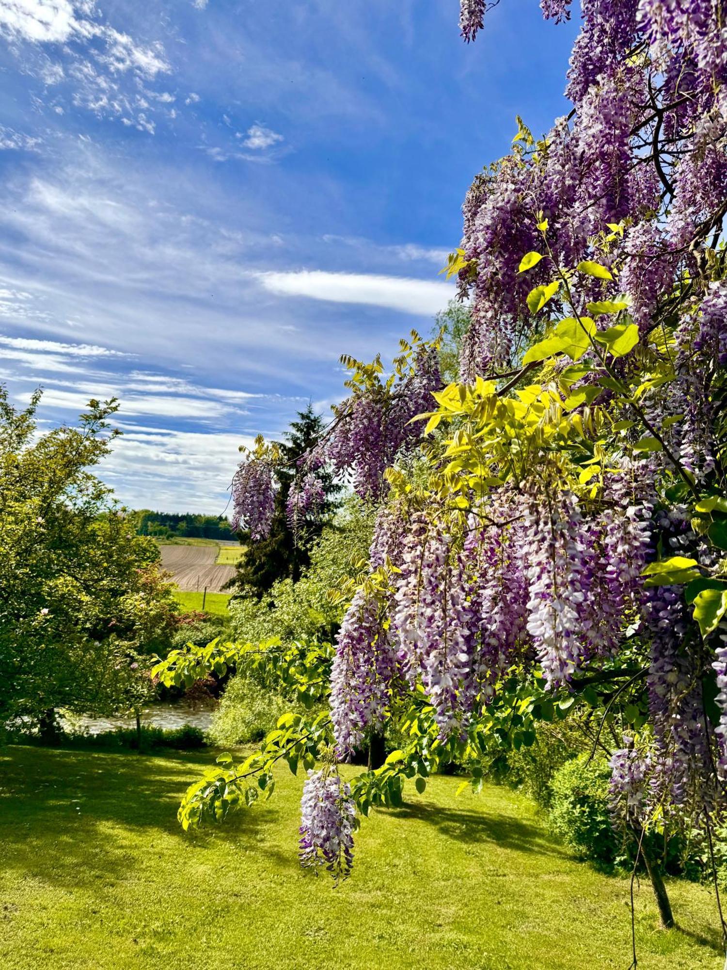 Am Flussgarten Eriskirch Ngoại thất bức ảnh